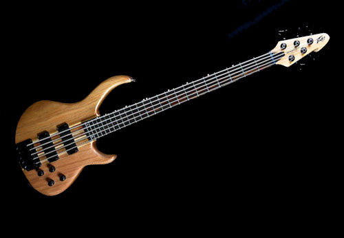 Abbildung: Peavey Grind Bass NTB-5 NT - © S. Kribitz