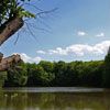 Ein Waldsee an der Nidda bei Frankfurt Nied