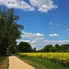 Radweg entlang der Nidda bei Frankfurt Eschersheim/Heddernheim