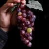 Ça cerà un vin très bon © M. Mischler